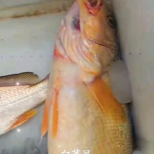正在册除抖音