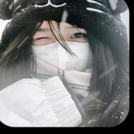 T.灵动
