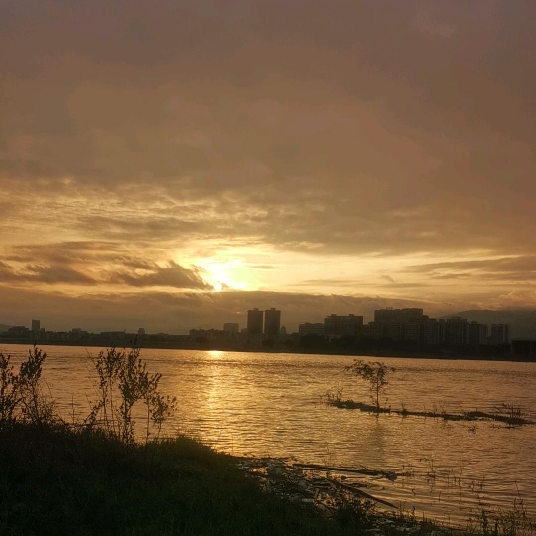 学习手写