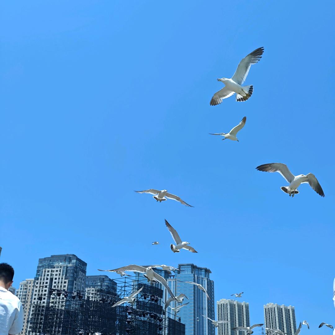 音卡丘