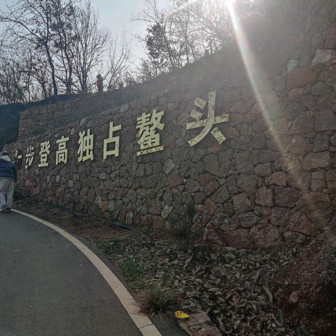 钱有毒