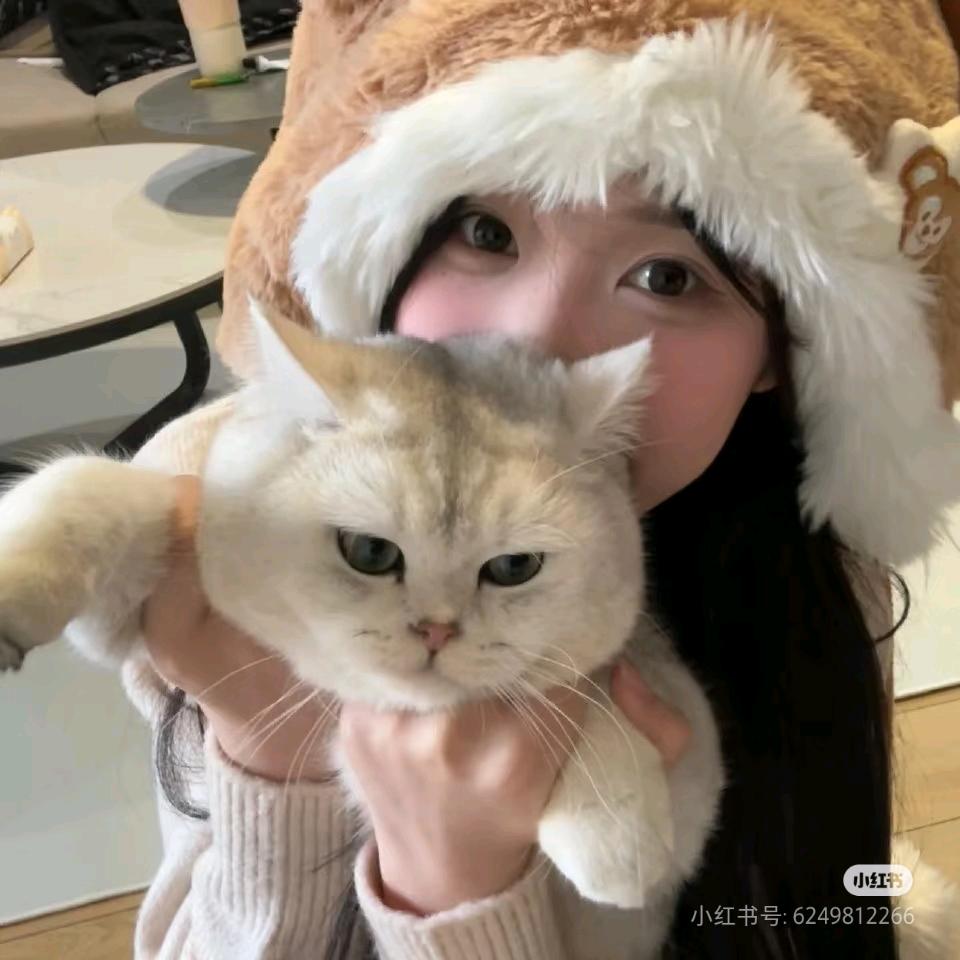 茉青茉青
