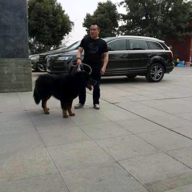 宽容
