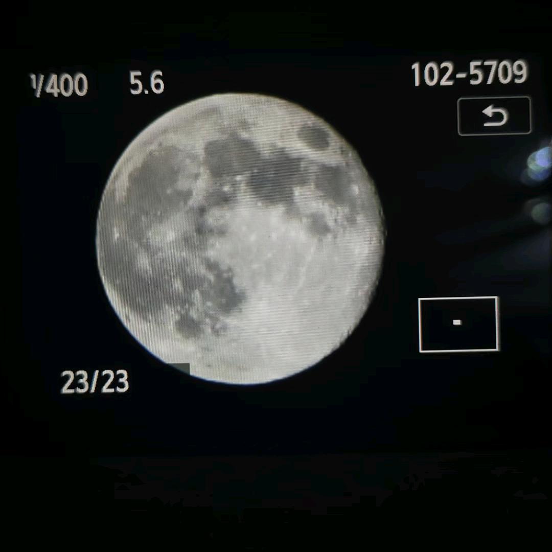 一叶知秋