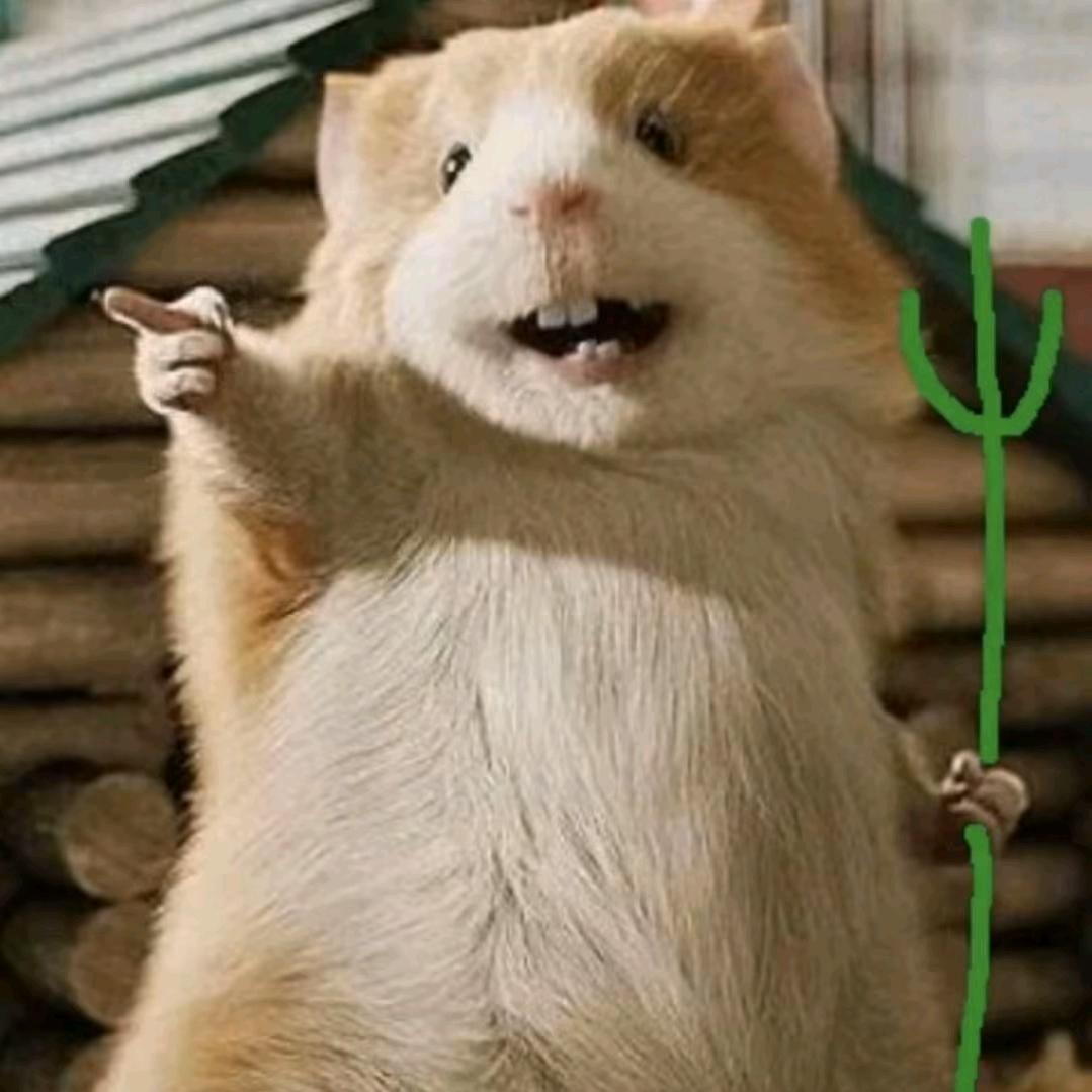 頔焱