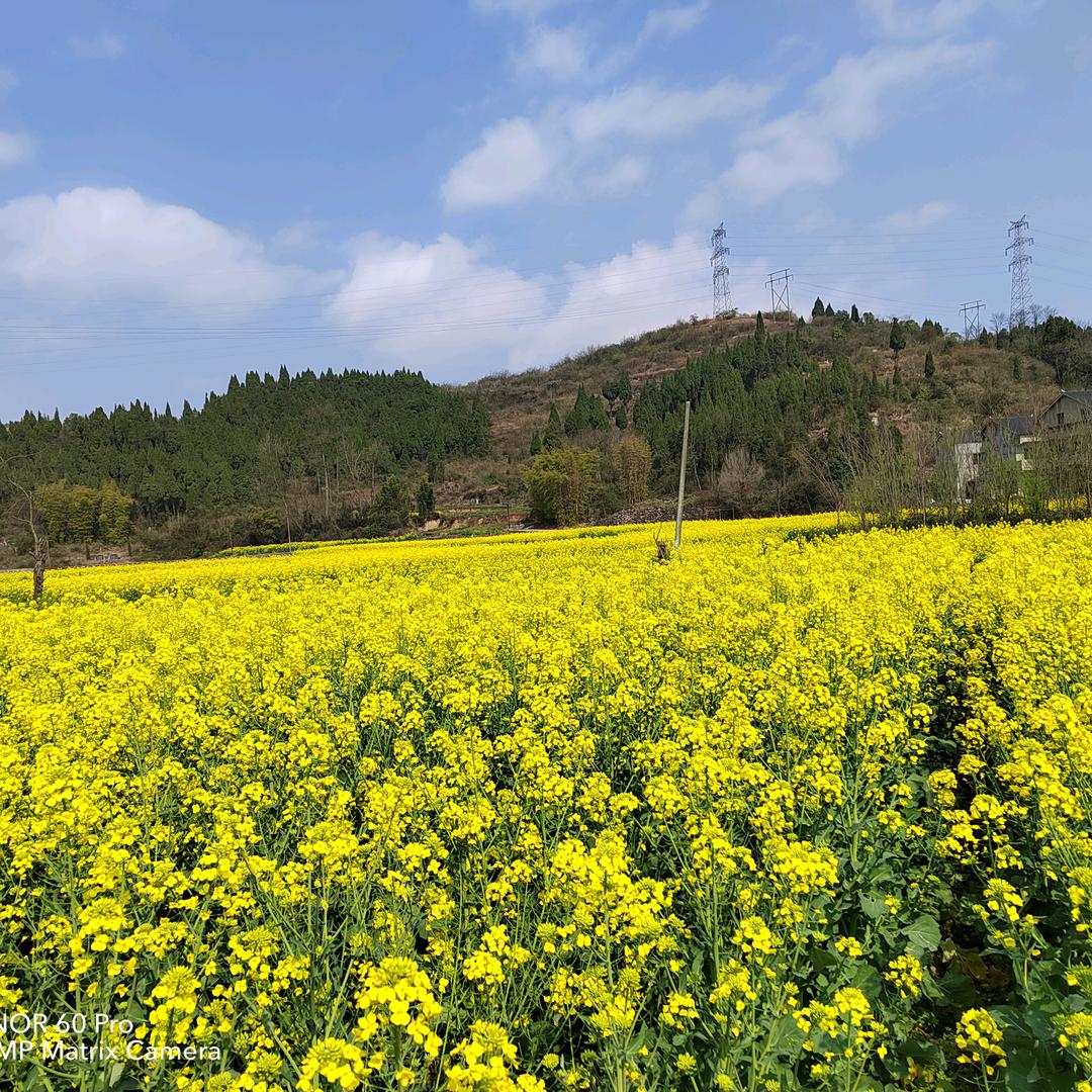 李师堰