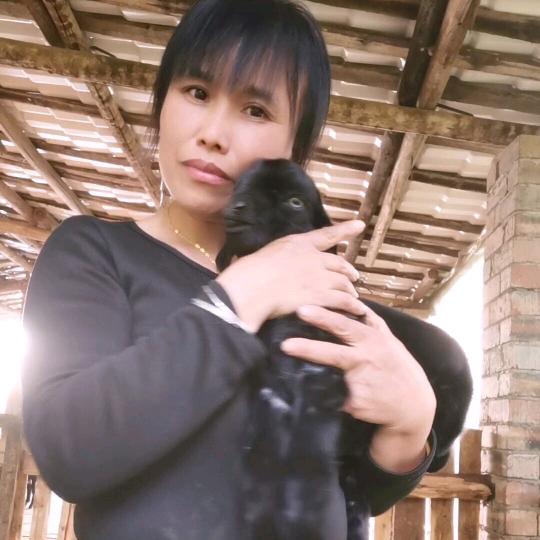 牧羊姐