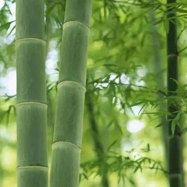 会社梁文化產業