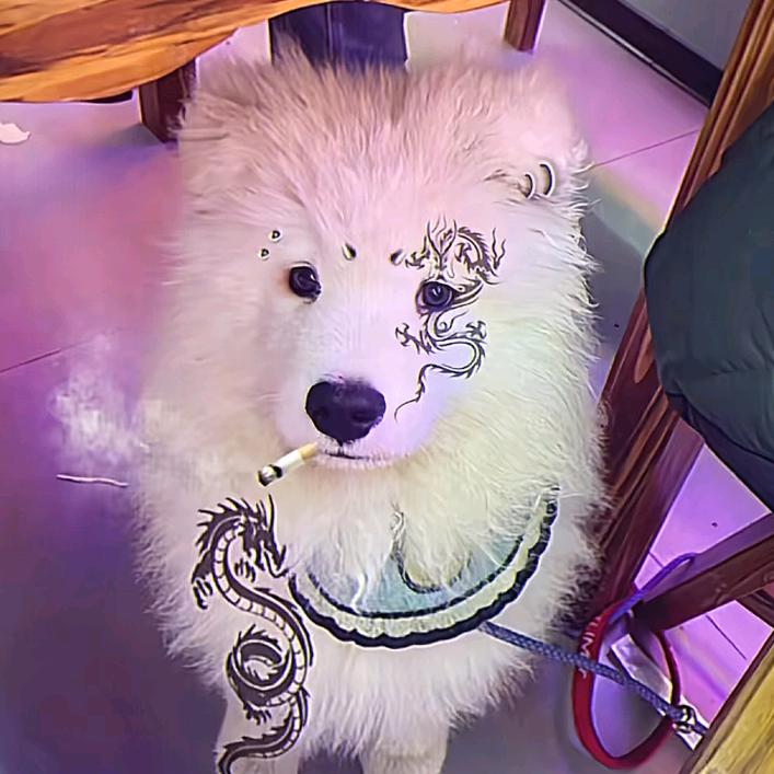 可惜我不是男一