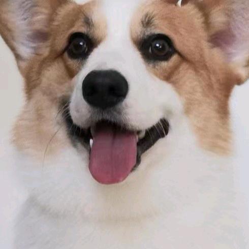 ໑ຼₒ₂₅多财多亿ღ᭄²⁰²⁵