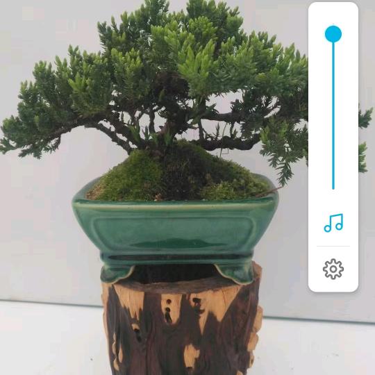 同情达理