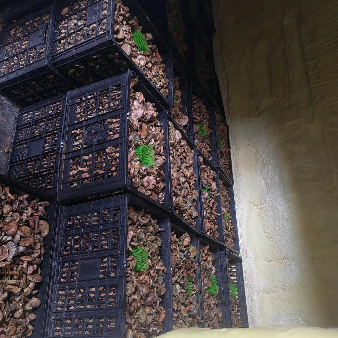 德江县精诚富民花椒种植业合作社