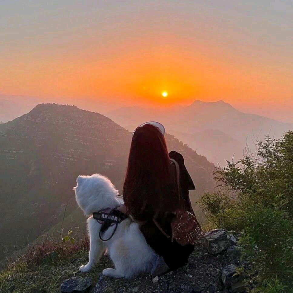 彤心颜