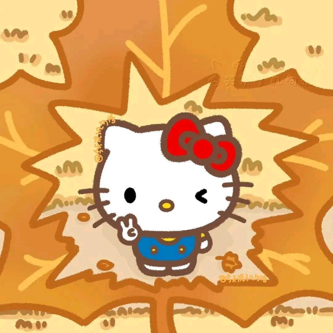 没盼过月亮