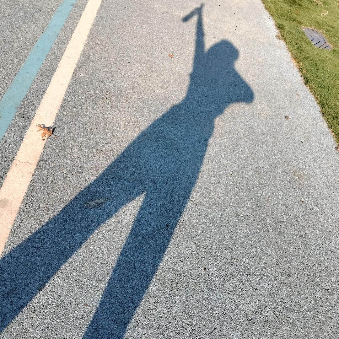 随风随心随我