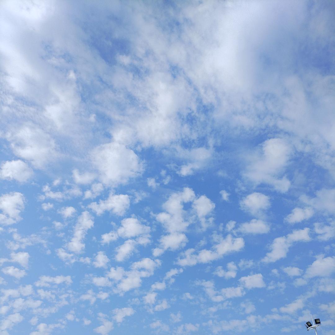 思宝 (*^▽^*）