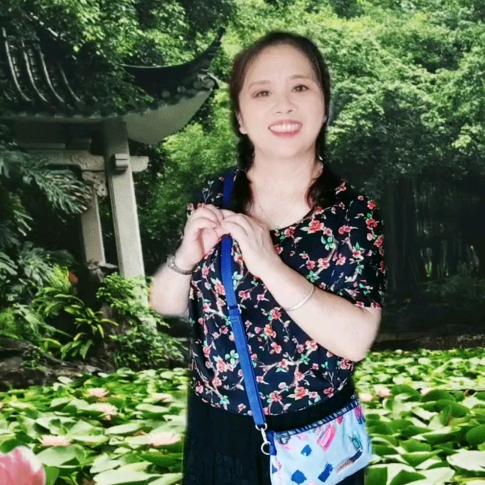菊
