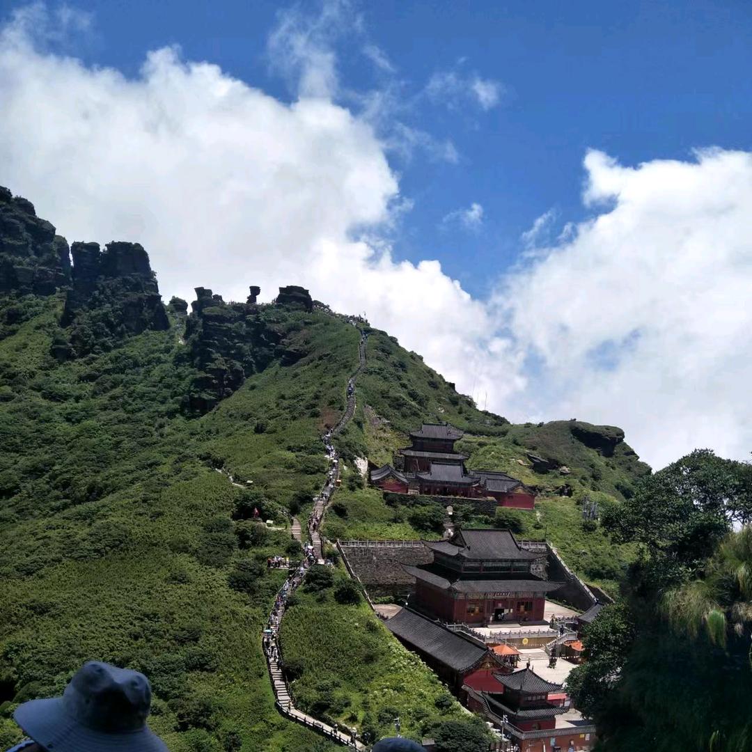 用户、、、种地哥(小张)61254807