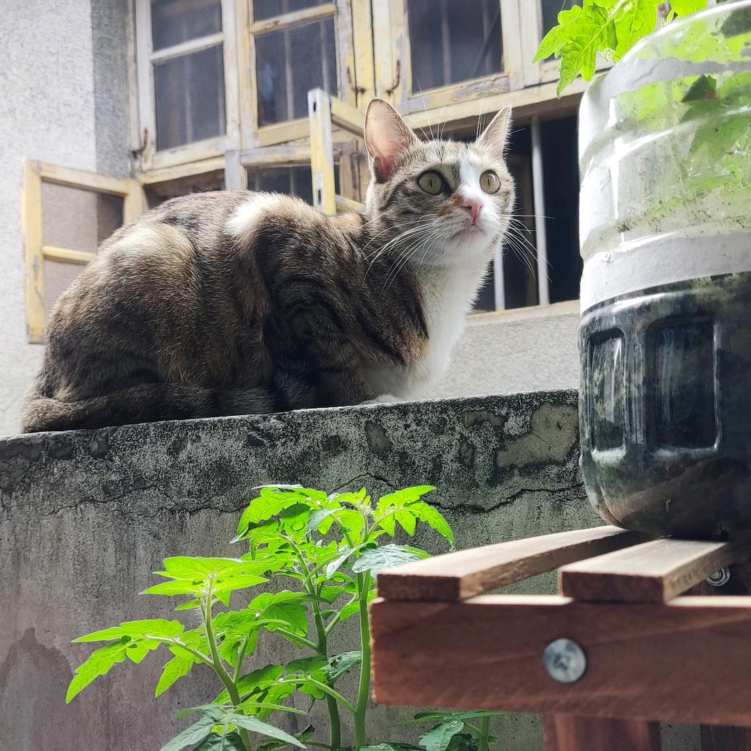 😸余生安好