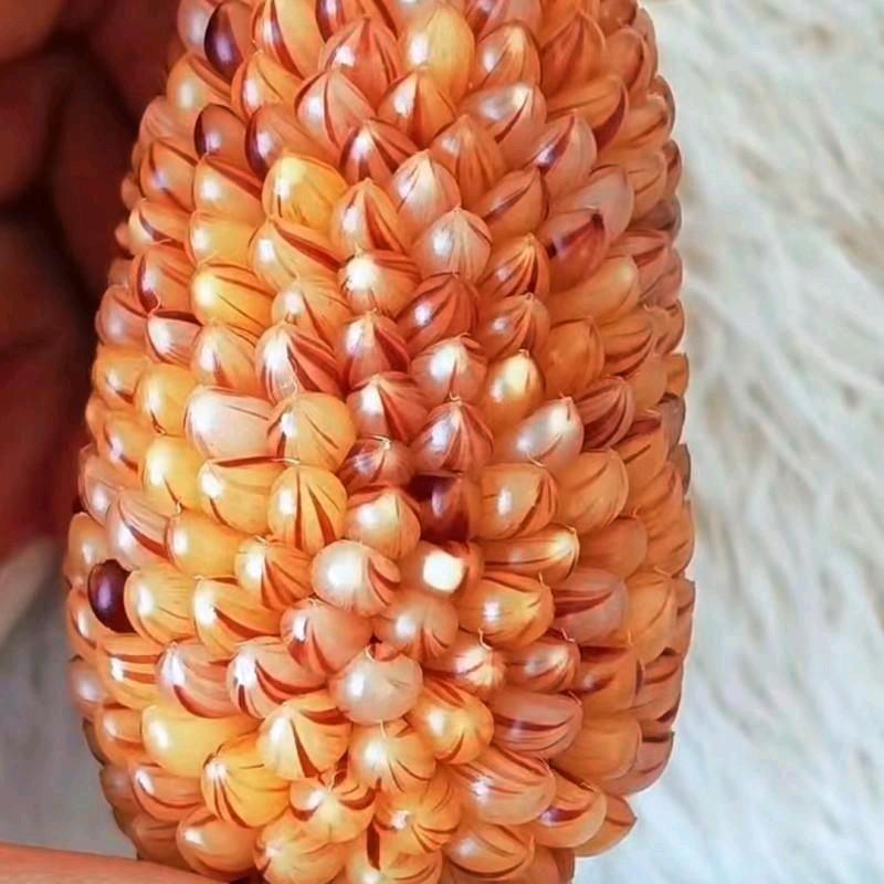 镜雅腾玉米文玩店