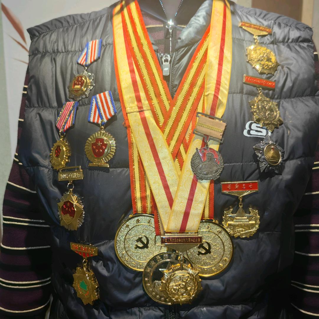 阿拉善的那棵树