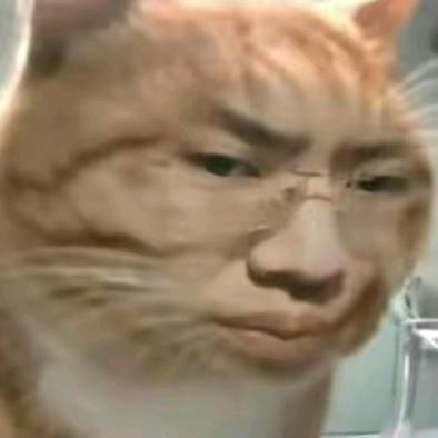 听泉赏宝（小泉弟）