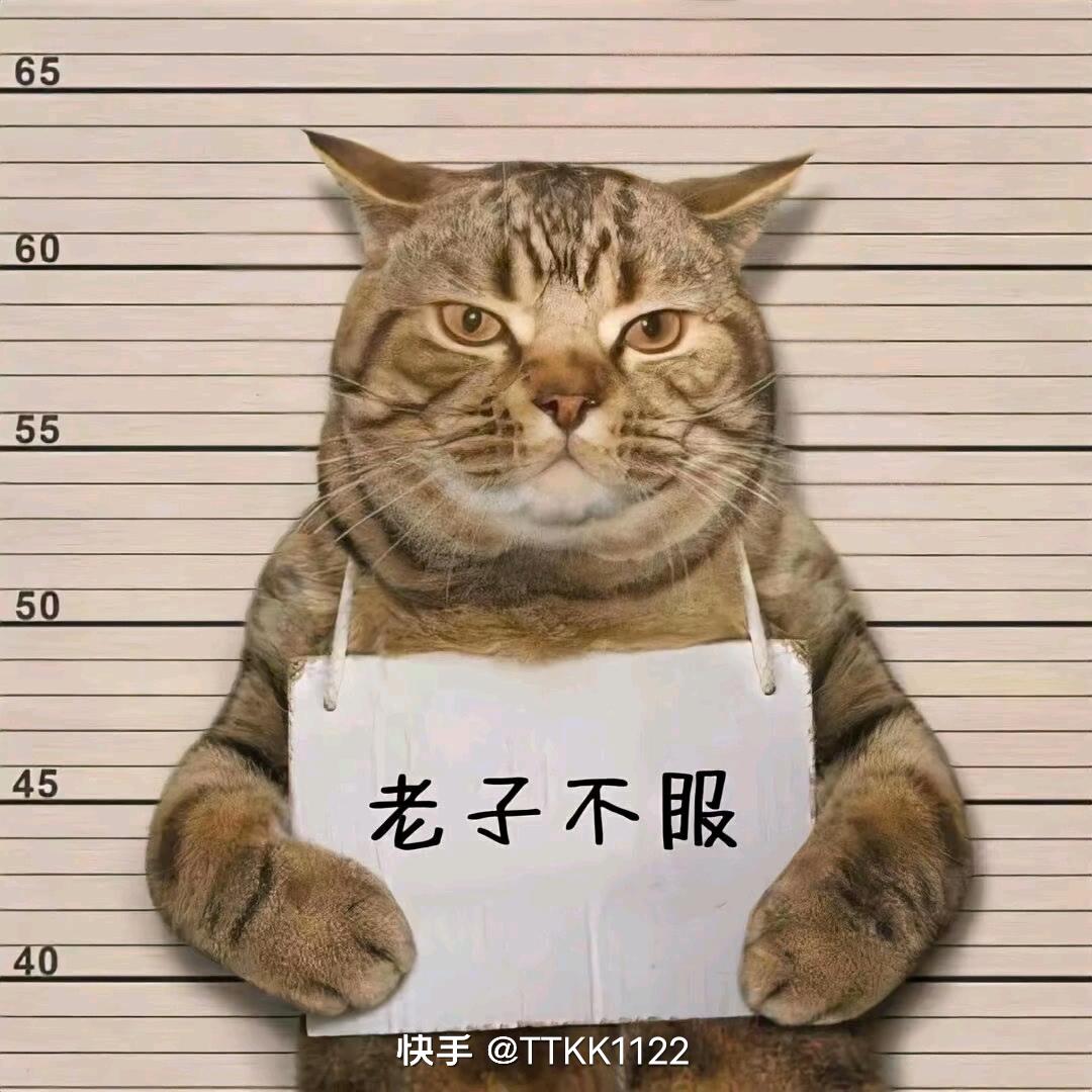 不能告诉你