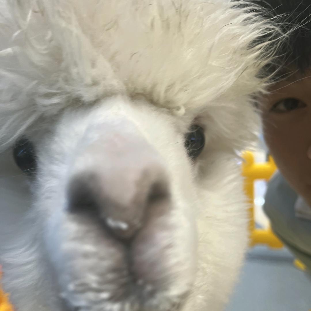 钱能宣