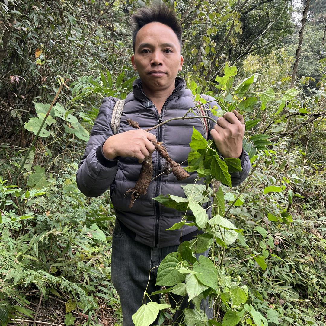 黔村阿宝山货土特产