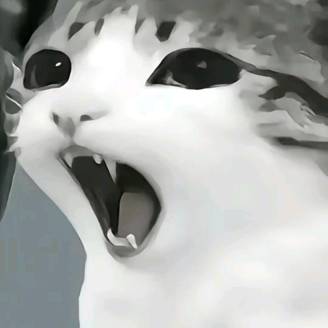 奶宝（审美积累中）