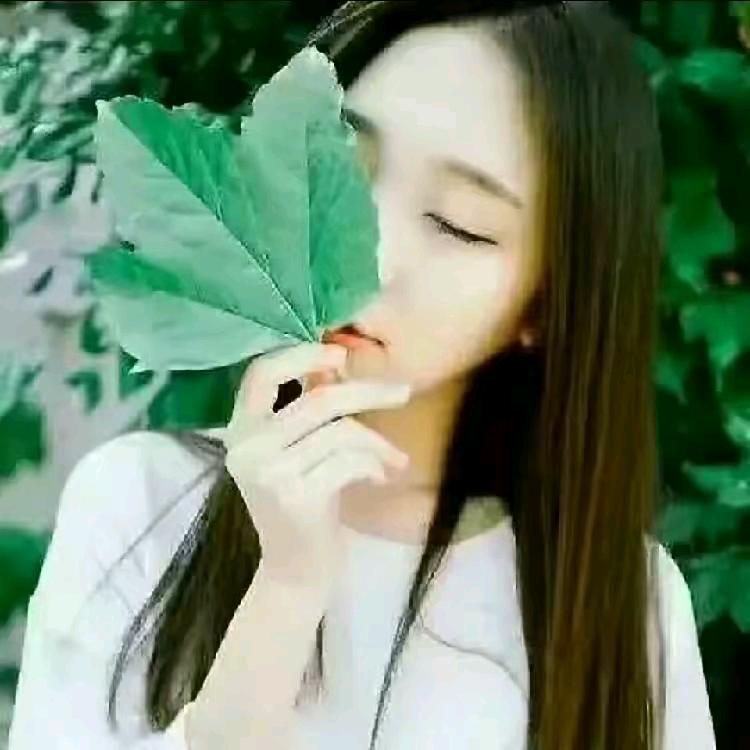 半夏🌸🌸