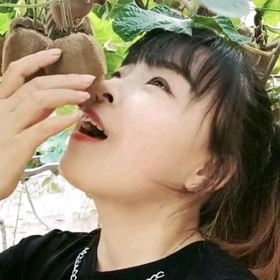 苗苗鲜果（猕猴桃产地直销）