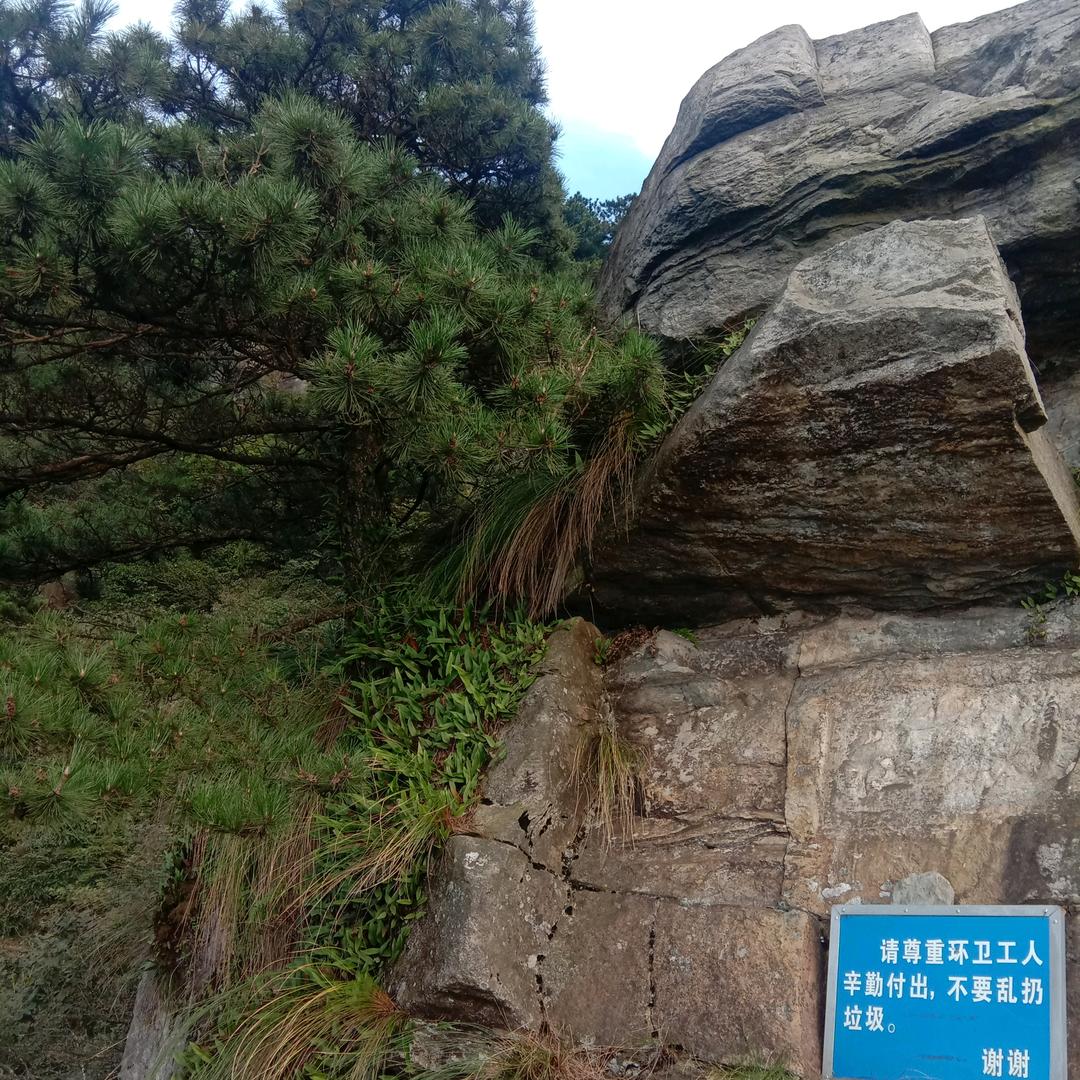 惜缘