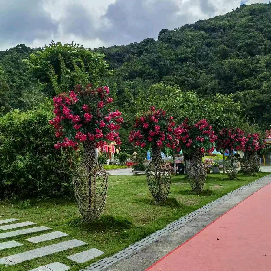 🌹幸🌷福💐王🍁🍁