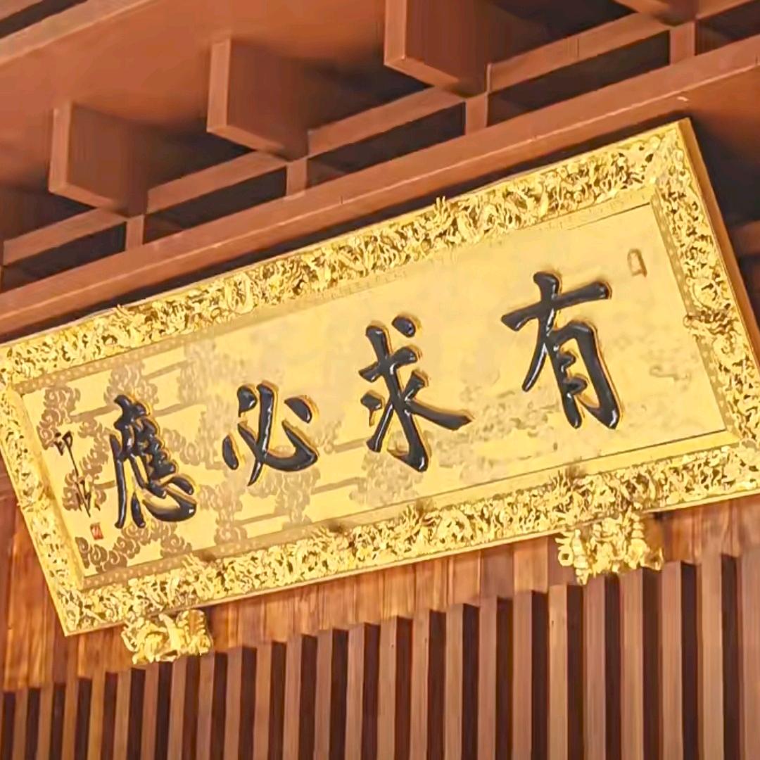 人生剧本