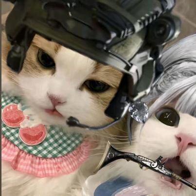迟楦