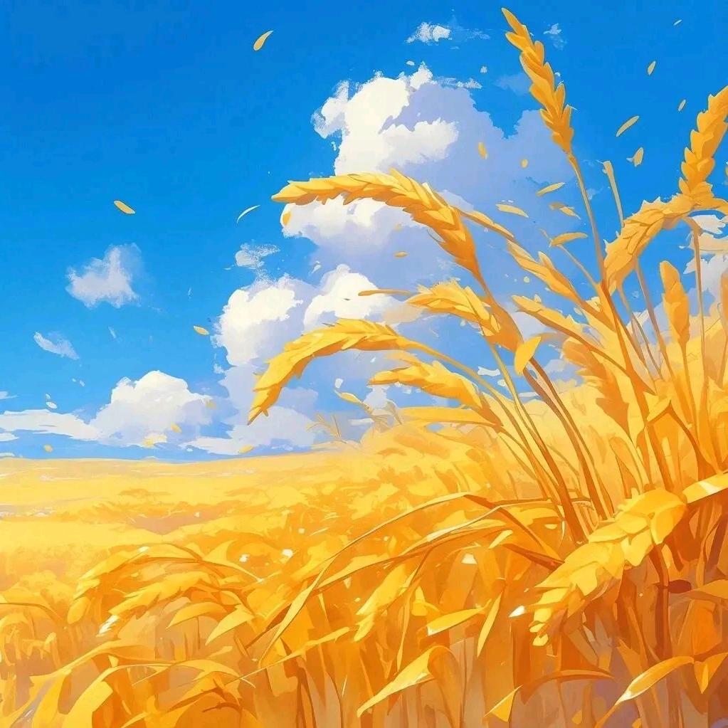 郭家大馍（郭明）