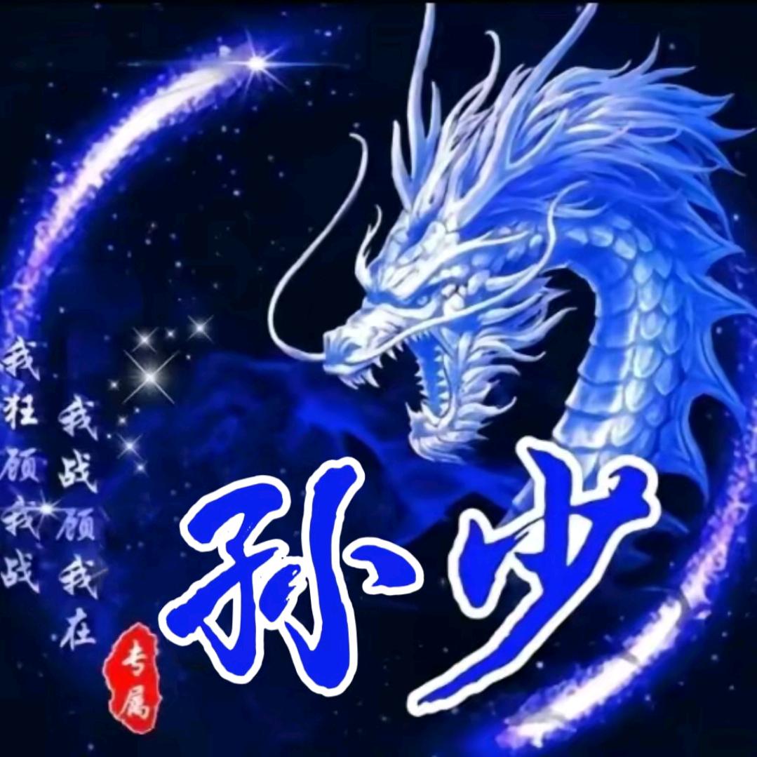 无敌孙少