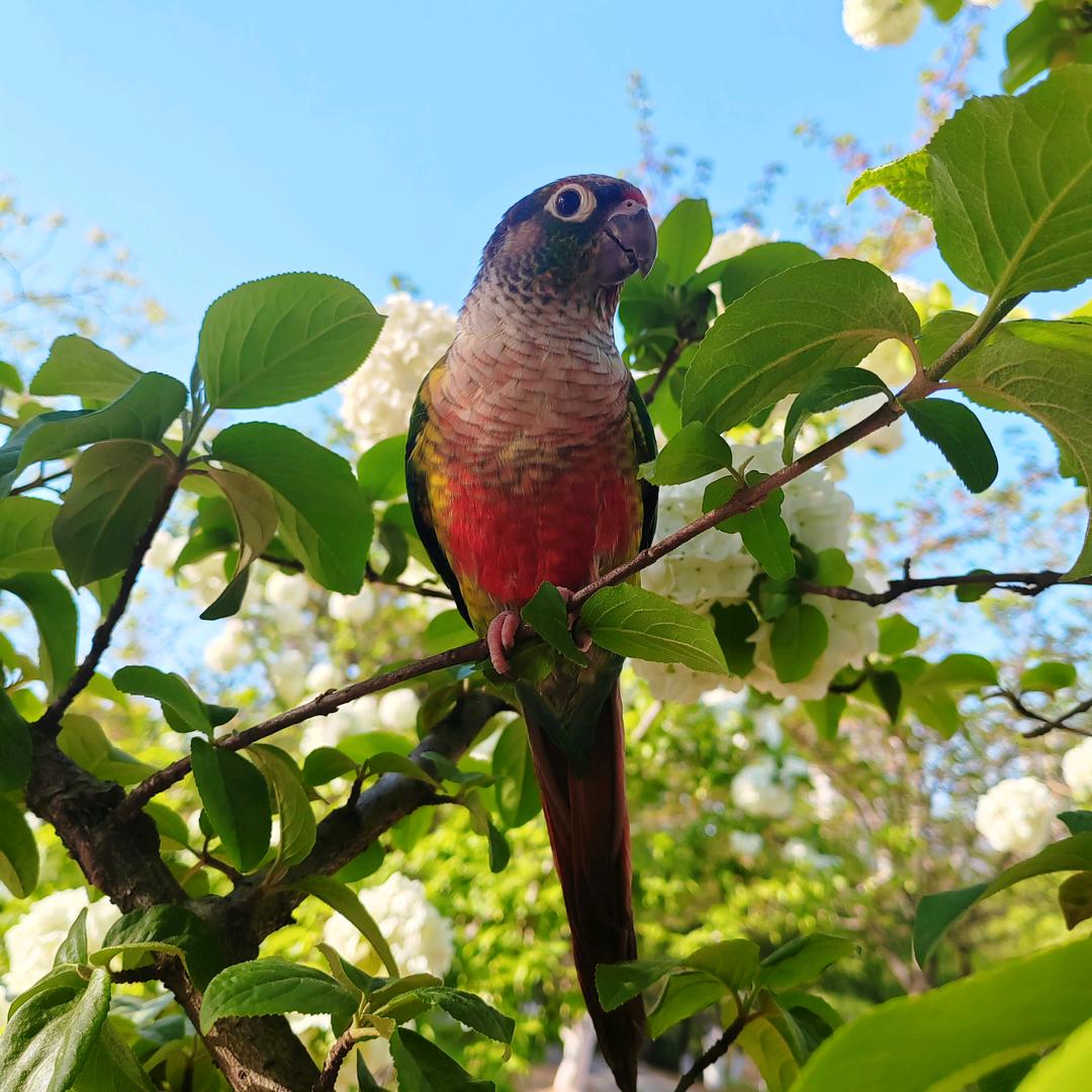 不怕不怕拥抱变化