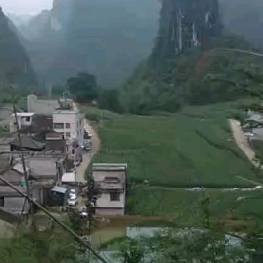 龙肖