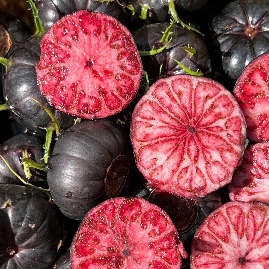 乐果鲜进口水果