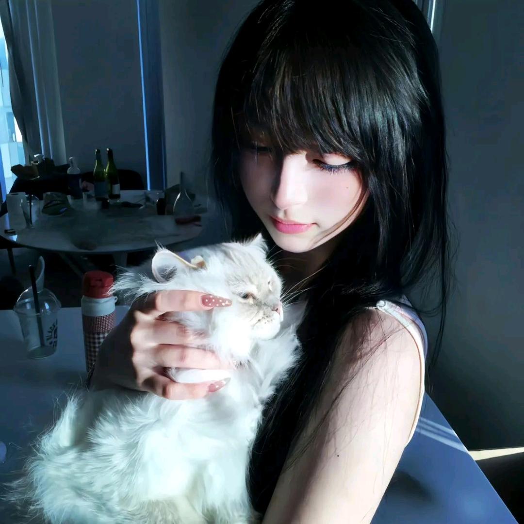 懒。