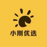 ligang26878