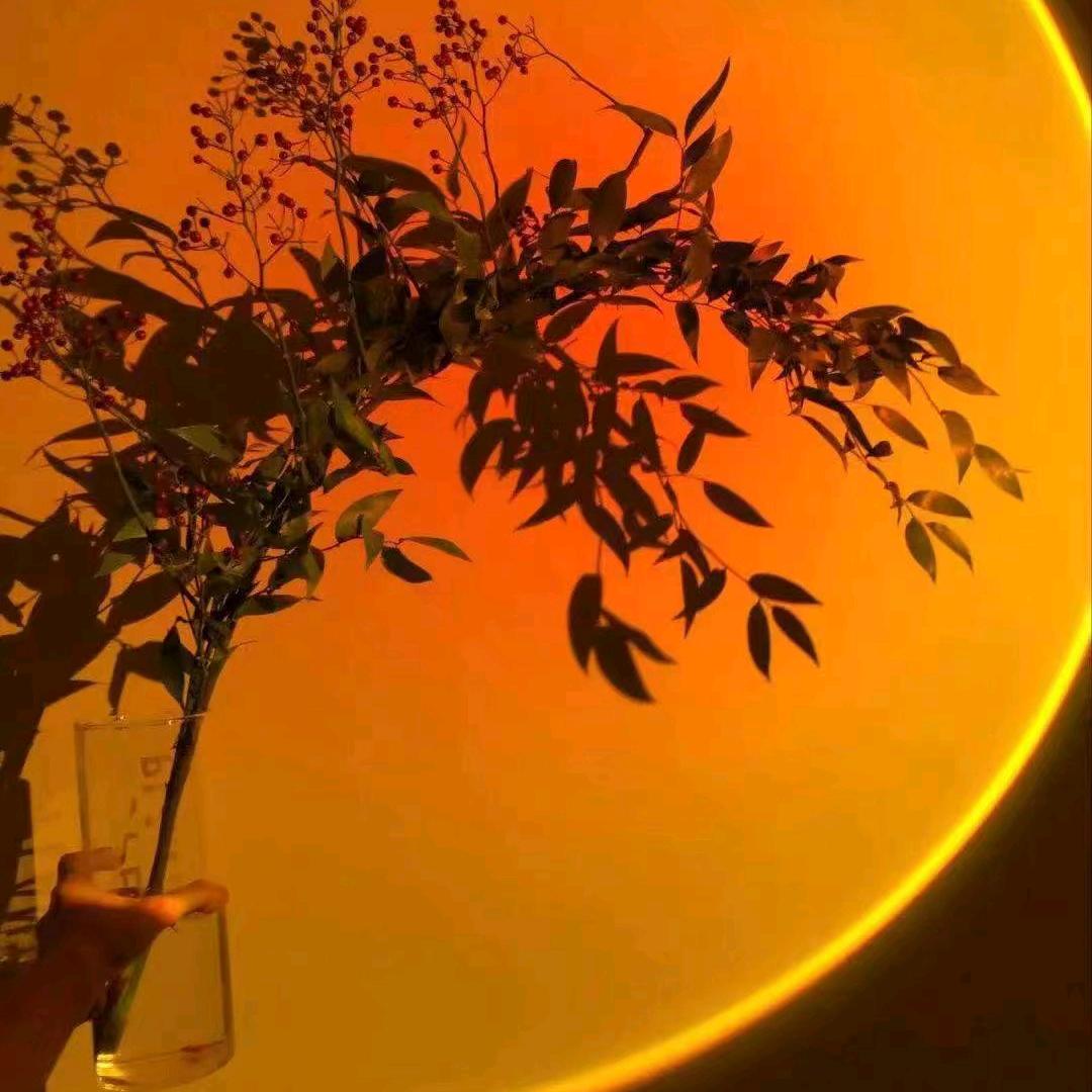 健身分享