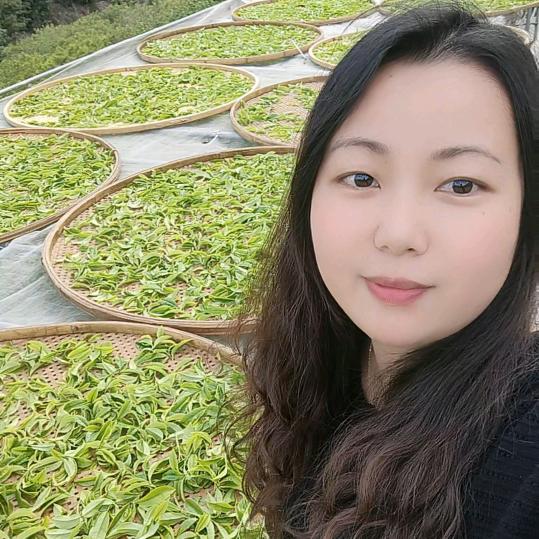 萍姐单枞茶《老枞韵味优选》