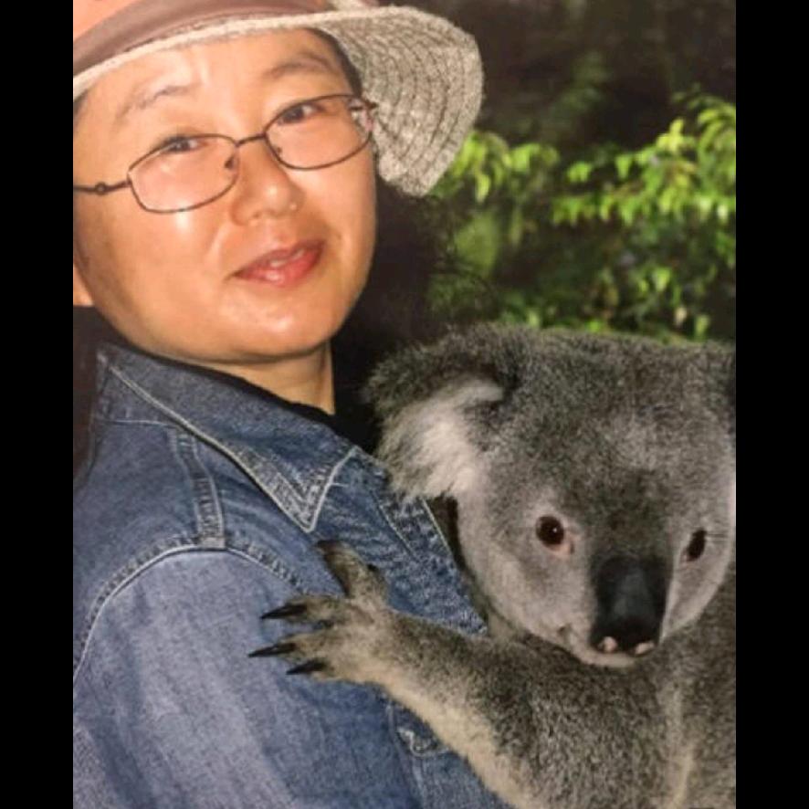 鹤舞天涯上午10点半开播(六日休)助10