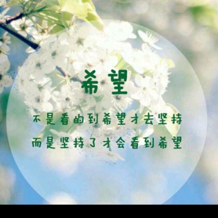 飞龙在天
