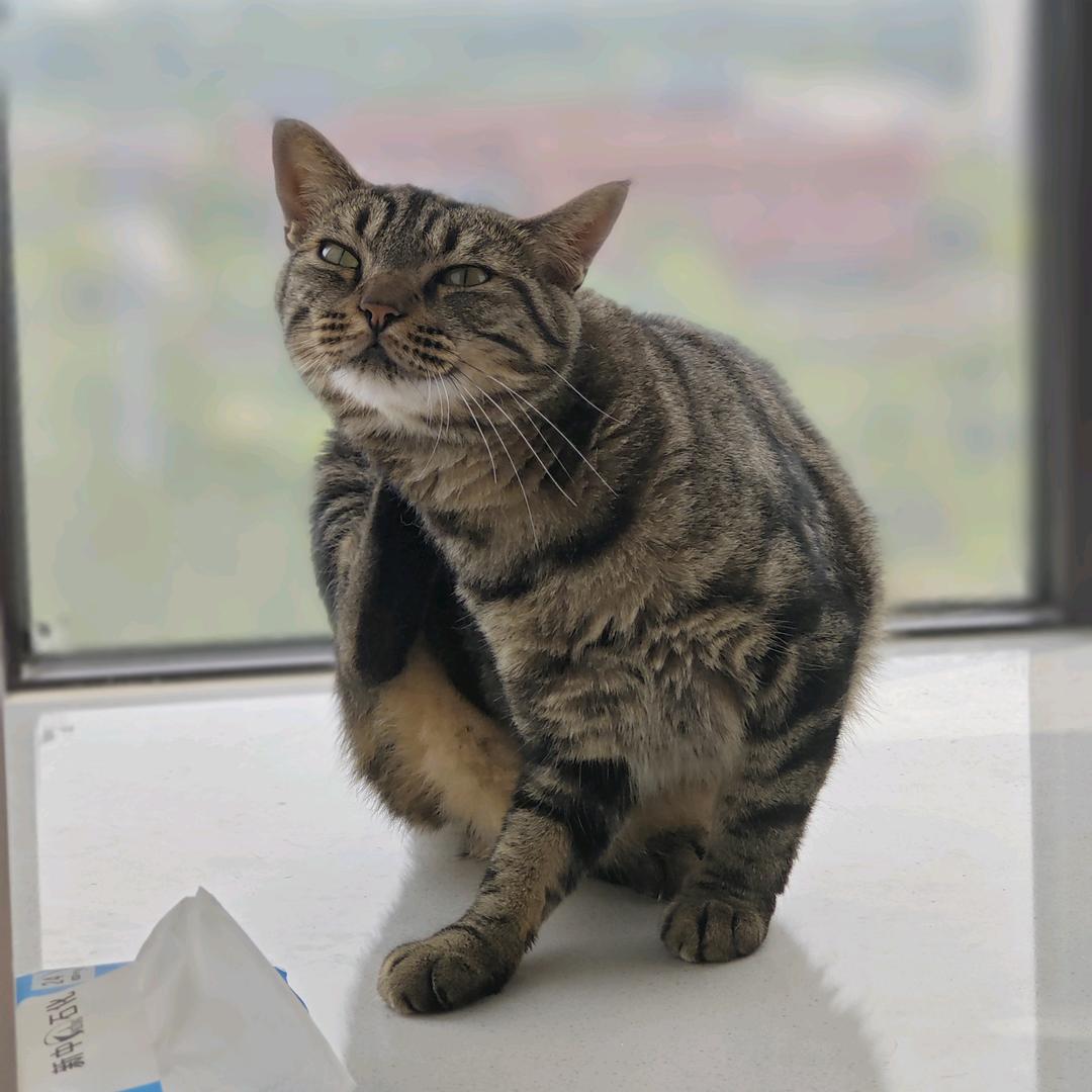 鱼啊鱼