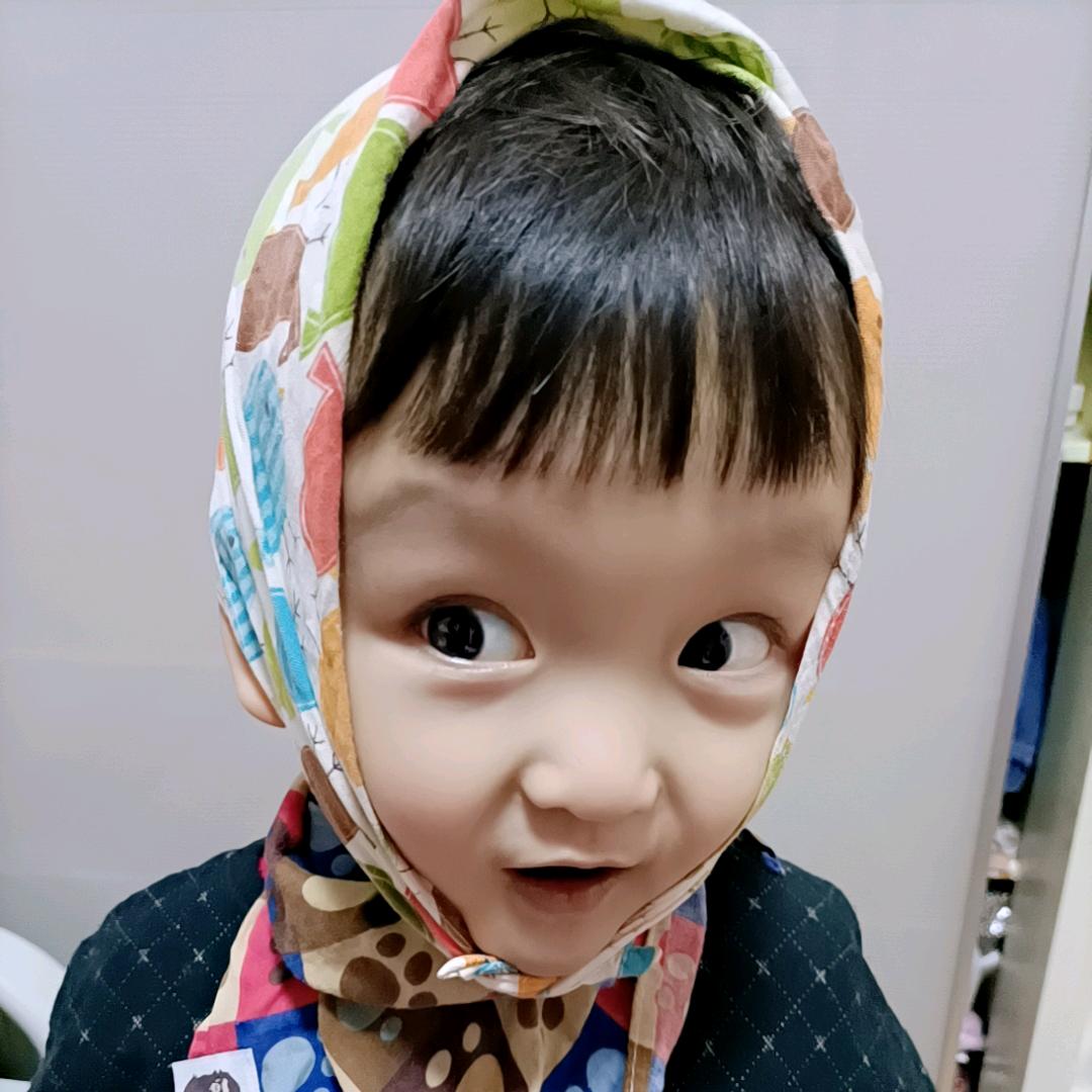 熊猫的彩色照片270