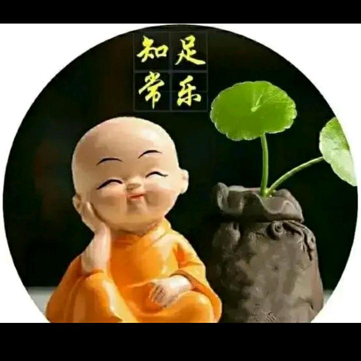 低调人生